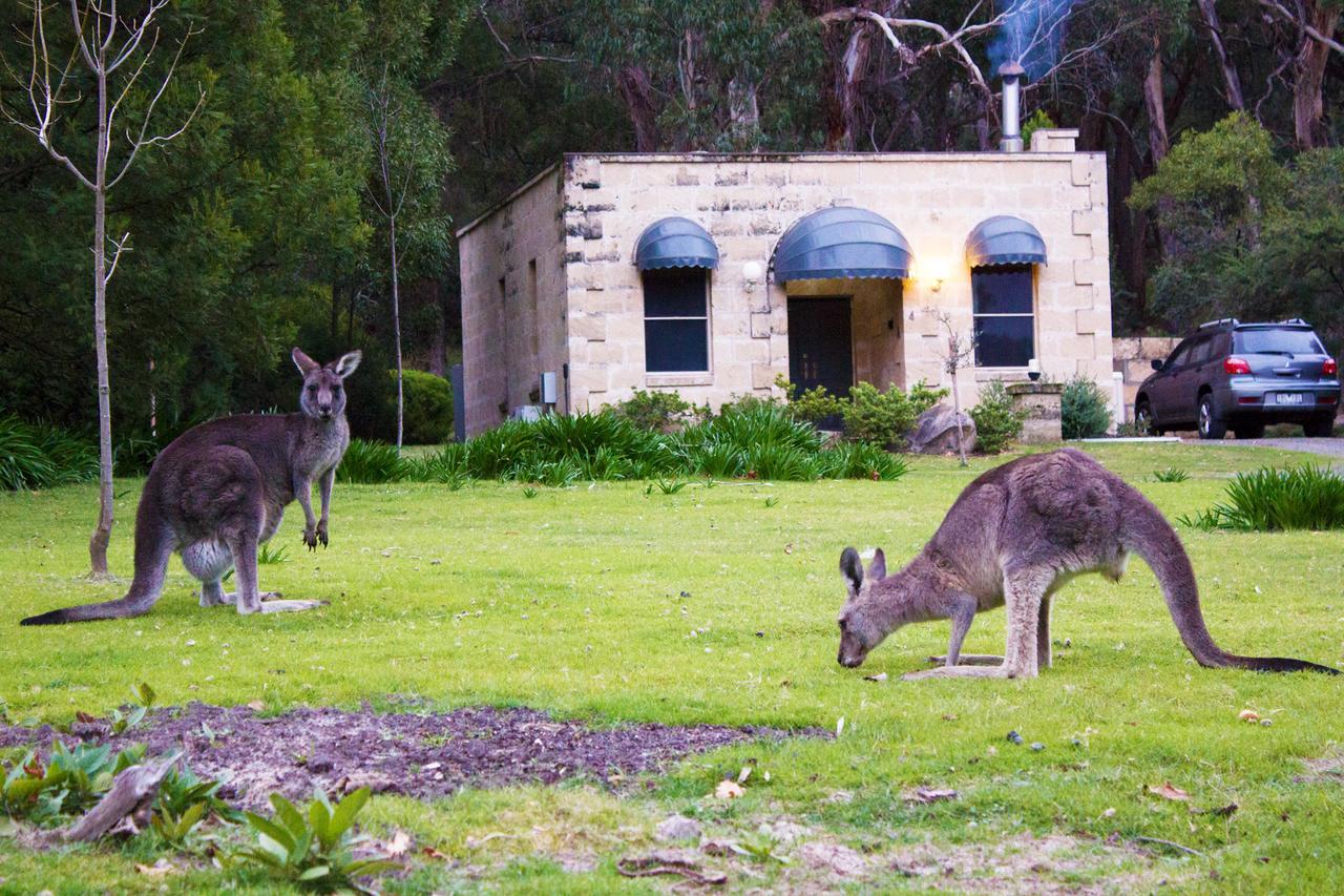 Marwood Villas Halls Gap Exterior photo