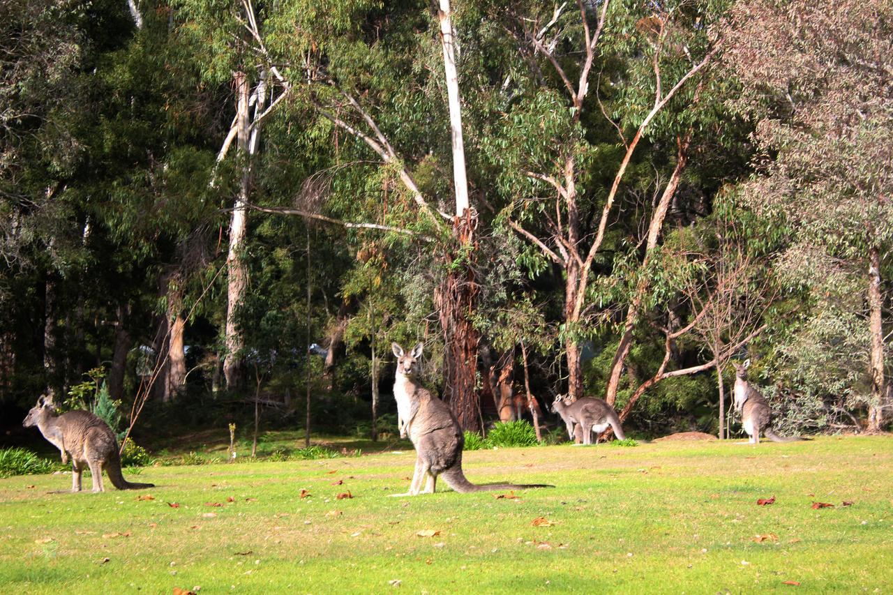 Marwood Villas Halls Gap Exterior photo